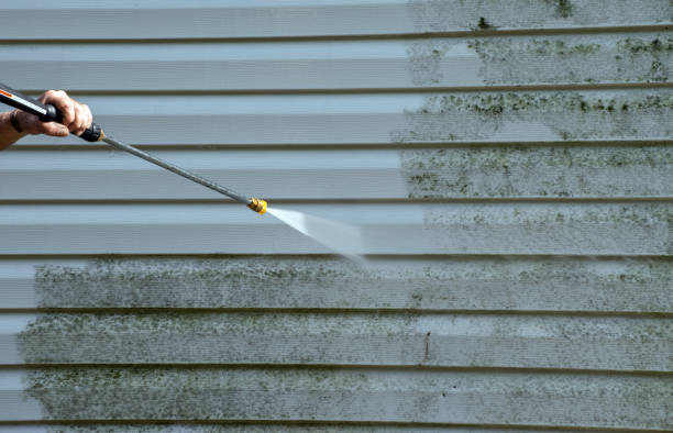 Best Dumpster Area Cleaning  in Ravenel, SC