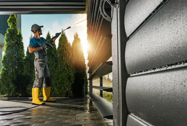 Best Building Exterior Washing  in Ravenel, SC